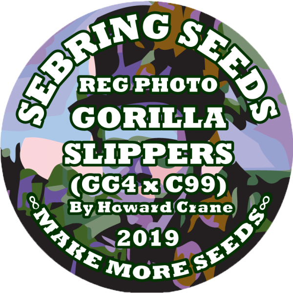 Gorilla-Slippers