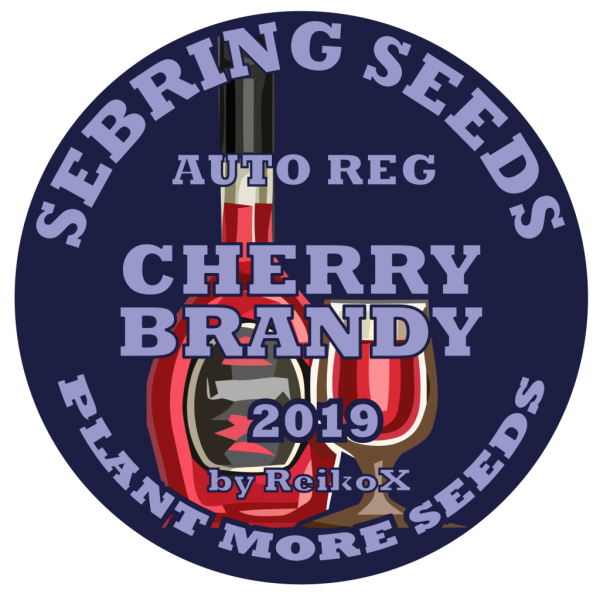 SS-CherryBrandy-1024×1024